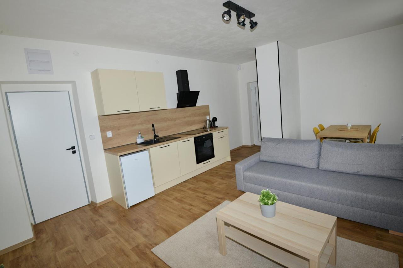 Apartmany U Peslu Железна-Руда Экстерьер фото